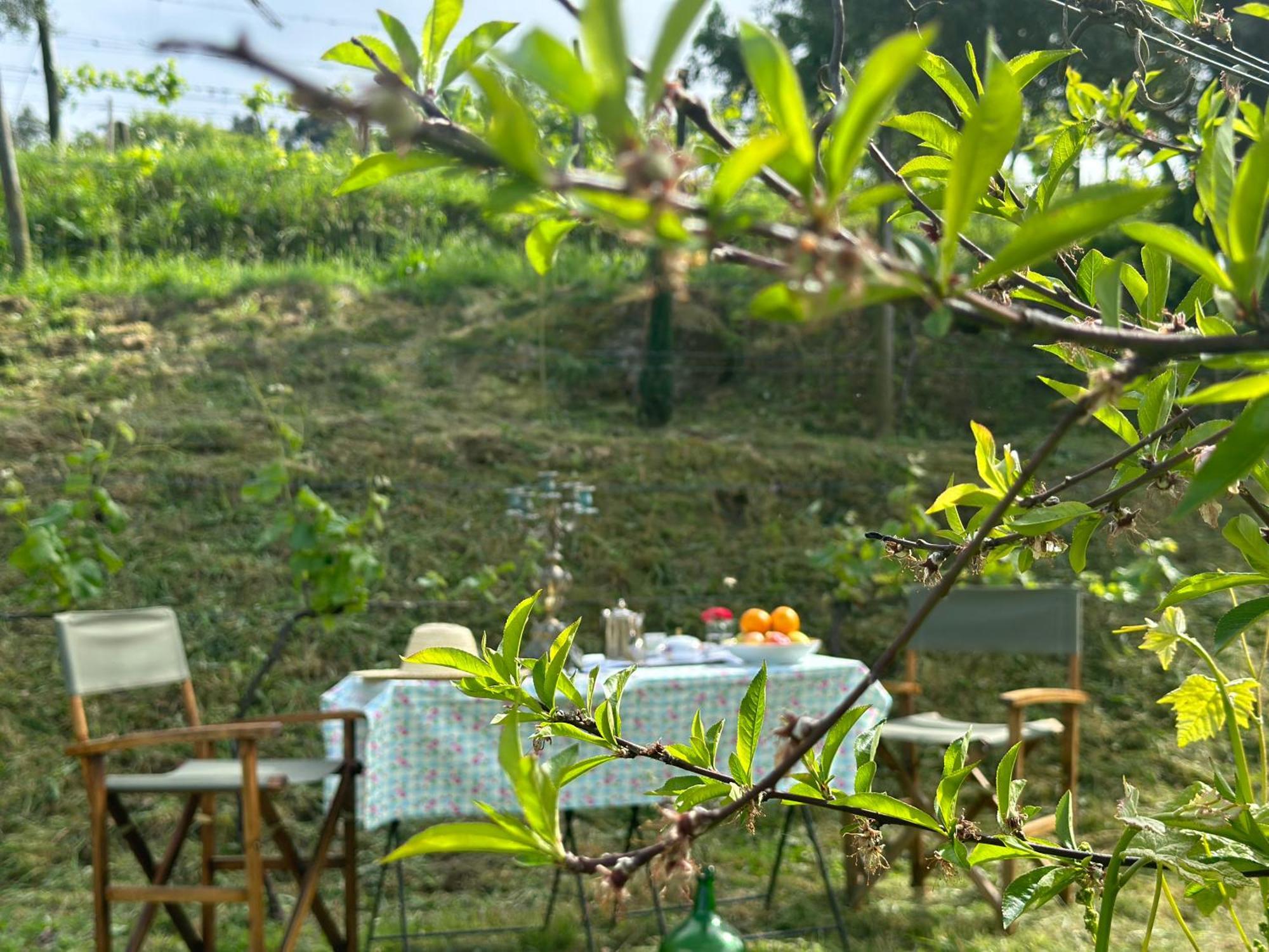 Carmo'S Boutique Hotel - Small Luxury Hotels Of The World Ponte de Lima Kültér fotó